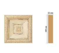 D207-1028 Вставка(100*100*22 мм)