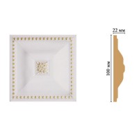 D209-54 Вставка(100*100*22 мм)