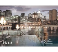 Панорама PR418