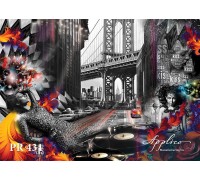 Панорама PR431