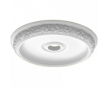 DM-0731/1 купол DECOMASTER-2 (726x105мм) в г. Екатеринбург