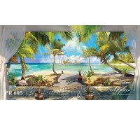 Панорама PR605