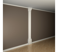 Пилястра в сборе 1.20.303