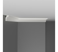 D111/80 плинтус ДМ(25*15*2000 мм)