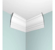 Уголок потолочный внутренний П10 50/80