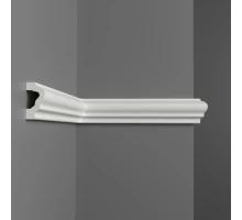 A020/55 Молдинг (39*21*2000мм)