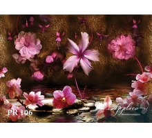 Панорама PR106