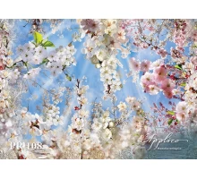 Панорама PR108