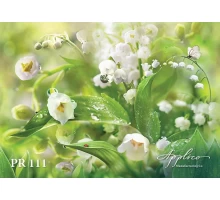 Панорама PR111