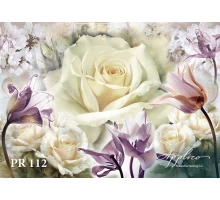 Панорама PR112