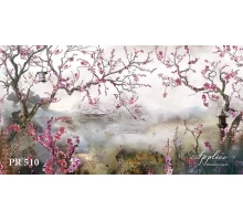 Панорама PR510