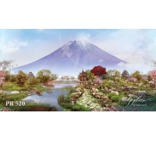 Панорама PR520