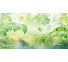 Панорама PR602