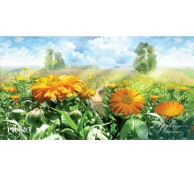 Панорама PR603