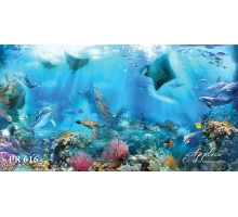 Панорама PR616