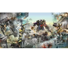 Панорама PR710