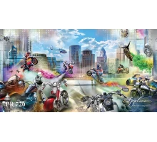 Панорама PR720