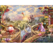 Панорама PR732