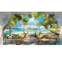 Панорама PR605