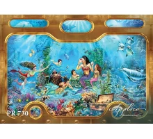 Панорама PR730