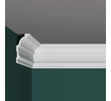 Плинтус потолочный ПраймДекор R01-110 100/40