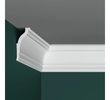 Плинтус потолочный ПраймДекор R03-110 100/55