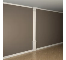 Пилястра в сборе 1.20.001