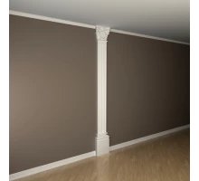 Пилястра в сборе 1.20.303